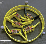 Phototactic Supersmarticles